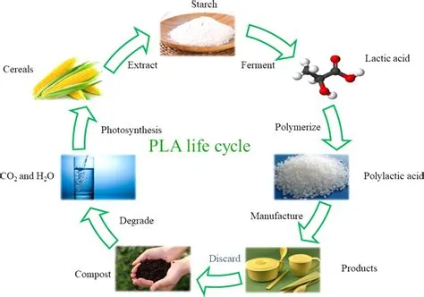  L-Polilactic Acid: Uma Jornada Desconcertante no Mundo dos Biomateriais de Alta Performance!