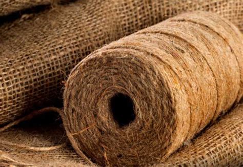  Jute: A Versátil Fibra Natural para Aplicações de Alta Resistência e Sustentabilidade!